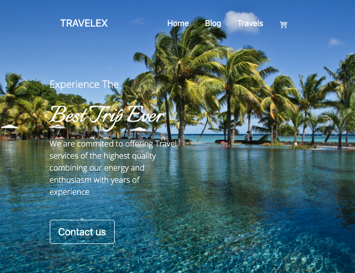 Travelex Projekt